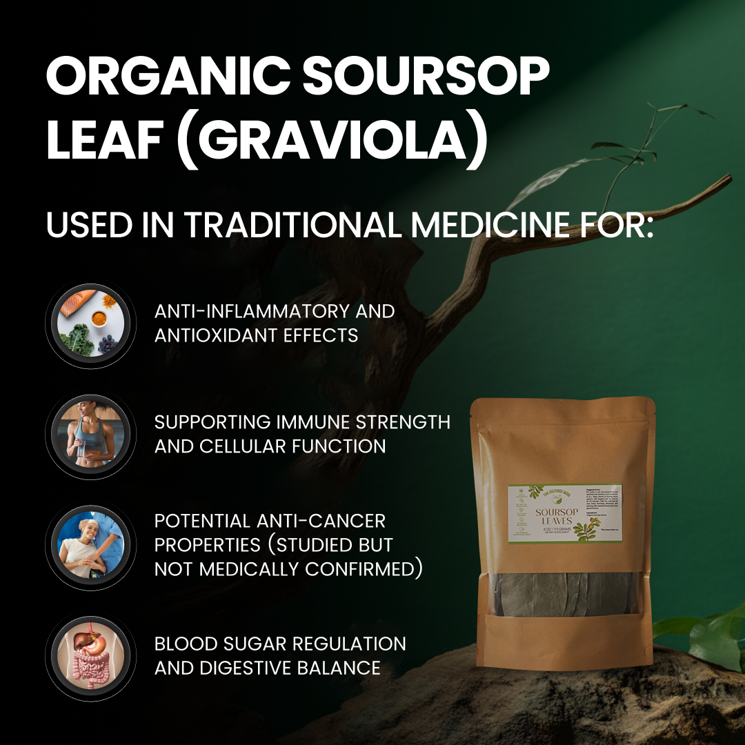 Soursop Leaves