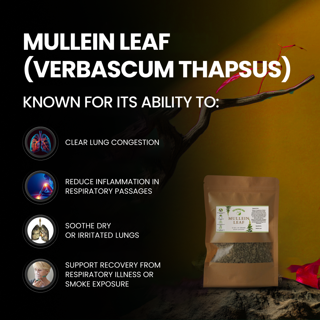 Mullein Leaf